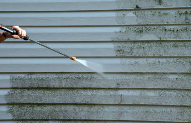 Best Sidewalk and Walkway Cleaning  in St Michael, MN